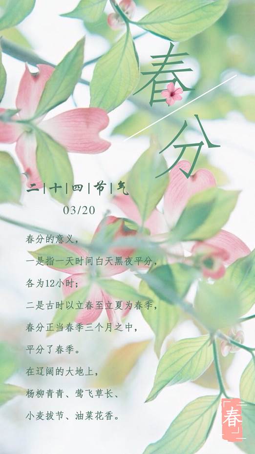 d45aa4bebbed999365a1ebd97a79e964